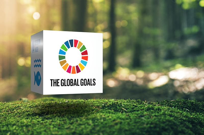 Environmental sustainability